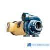 may-bom-ly-tam-franklin-electric-fbc-series-1