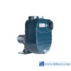 may-bom-tu-moi-franklin-electric-water-fbstf-series